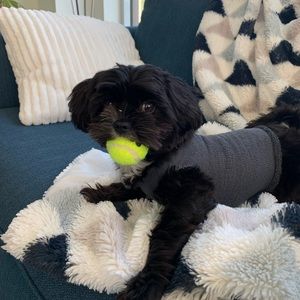 Meet your Posher, Norah